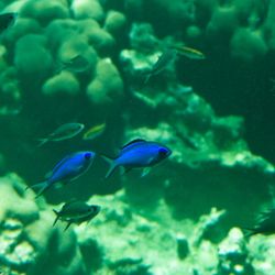 Vue sous-marine 3 Vue sous-marine 3