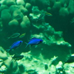 Vue sous-marine 3 Vue sous-marine 3