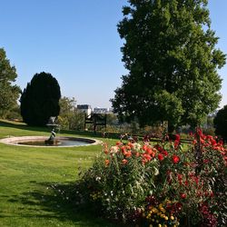 automne_001.jpg automne_001.jpg