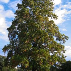 automne_002.jpg automne_002.jpg