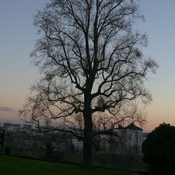 automne_006.jpg automne_006.jpg