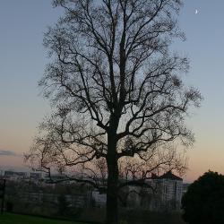 automne_006.jpg