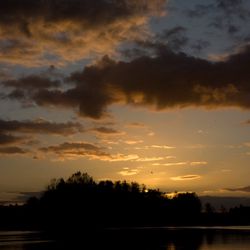 Sortie nocturne 1/2