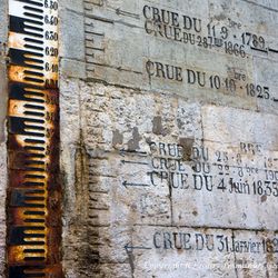 Promenade en bord de Loire 1/6