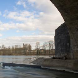 Promenade en bord de Loire 2/6