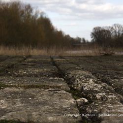 Promenade en bord de Loire 3/6