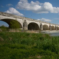 Promenade en bord de Loire 6/6