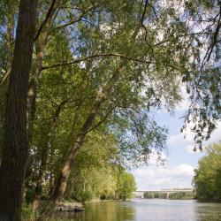Autour du Pont Wilson 3/6