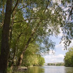 Autour du Pont Wilson 3/6