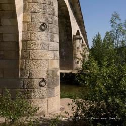 Promenade en bord de Loire 1/6