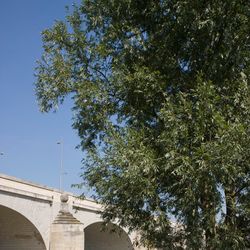 Promenade en bord de Loire 3/6