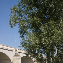 Promenade en bord de Loire 3/6