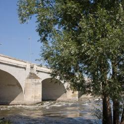 Promenade en bord de Loire 3/6