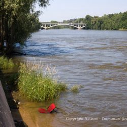 Promenade en bord de Loire 4/6