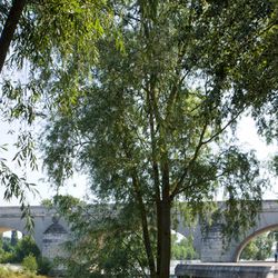 Promenade en bord de Loire 5/6