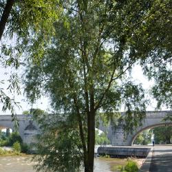 Promenade en bord de Loire 5/6