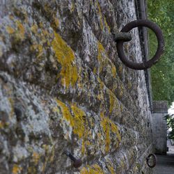 Promenade en bord de Loire 6/6
