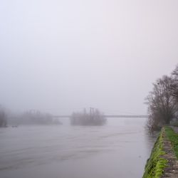 Pont de fil 1