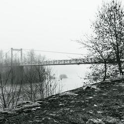 Pont de fil 2