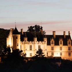 Le château de Loches