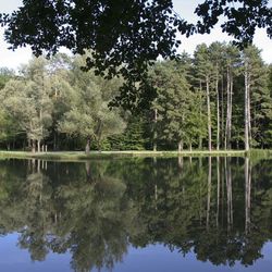 Reflets bleus Reflets bleus