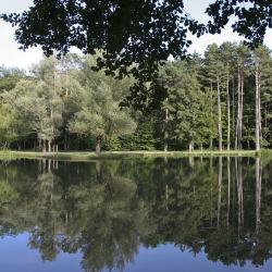 Reflets bleus