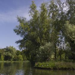 Une île