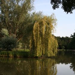 L’autre côté de l’île