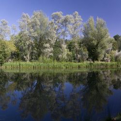Reflets Reflets