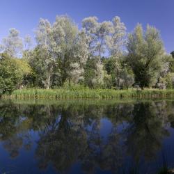 Reflets