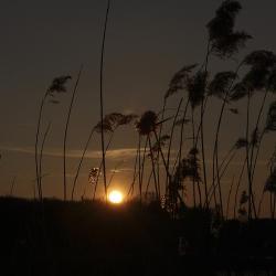 Couché de soleil