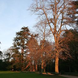 Février 2007 (Canon 350d)