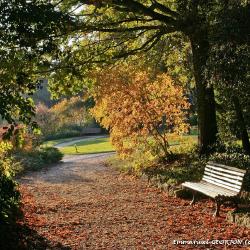 Octobre 2007: ma photo préférée