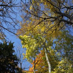 Novembre ensoleillé