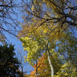 Novembre ensoleillé