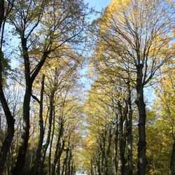 Novembre 2007: premiers essais du 40D