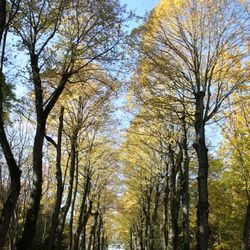 Novembre 2007: premiers essais du 40D Novembre 2007: premiers essais du 40D