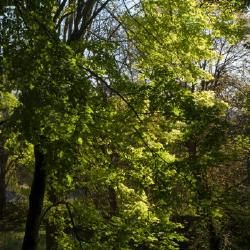 Panoramique vertical (2008)