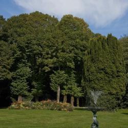 La Fontaine (Septembre 2008)