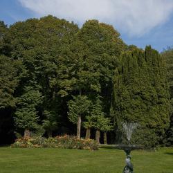 La Fontaine (Septembre 2008)