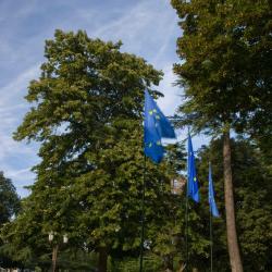 Les drapeaux
