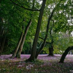 L’automne approche