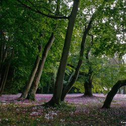 L’automne approche