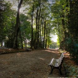 L’allée des grands hommes (HDR)