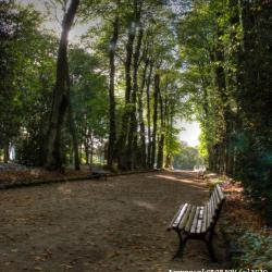 L’allée des grands hommes (HDR)