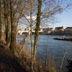 La ville de Tours depuis l’île