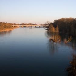 La Loire et l’île Simon