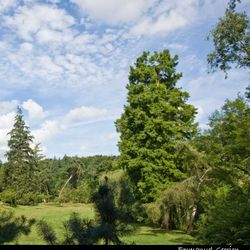 Vue d’ensemble du parc Vue d’ensemble du parc
