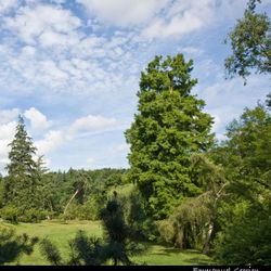 Vue d’ensemble du parc