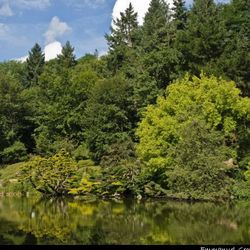 Un pont sur le lac Un pont sur le lac